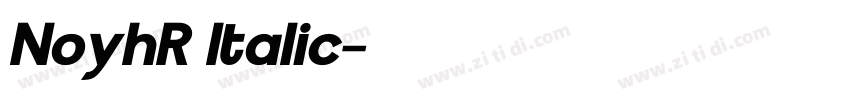 NoyhR Italic字体转换 NoyhR Italic字体转换
